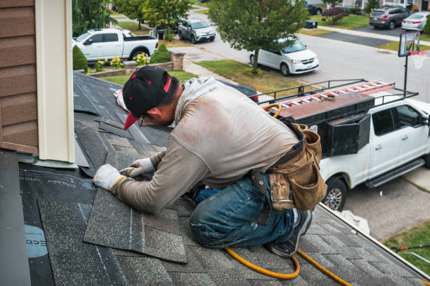 Professional Roof Leak Repair technician working in Edwards, IL